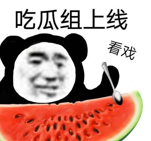 吃瓜网揭秘黑料,娱乐圈黑料背后的真相